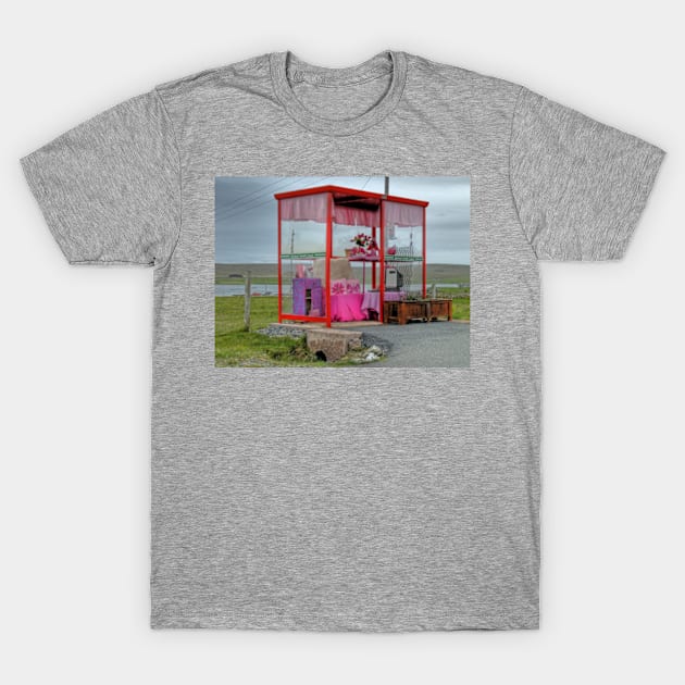 Pink Bus Stop at Unst T-Shirt by Avalinart